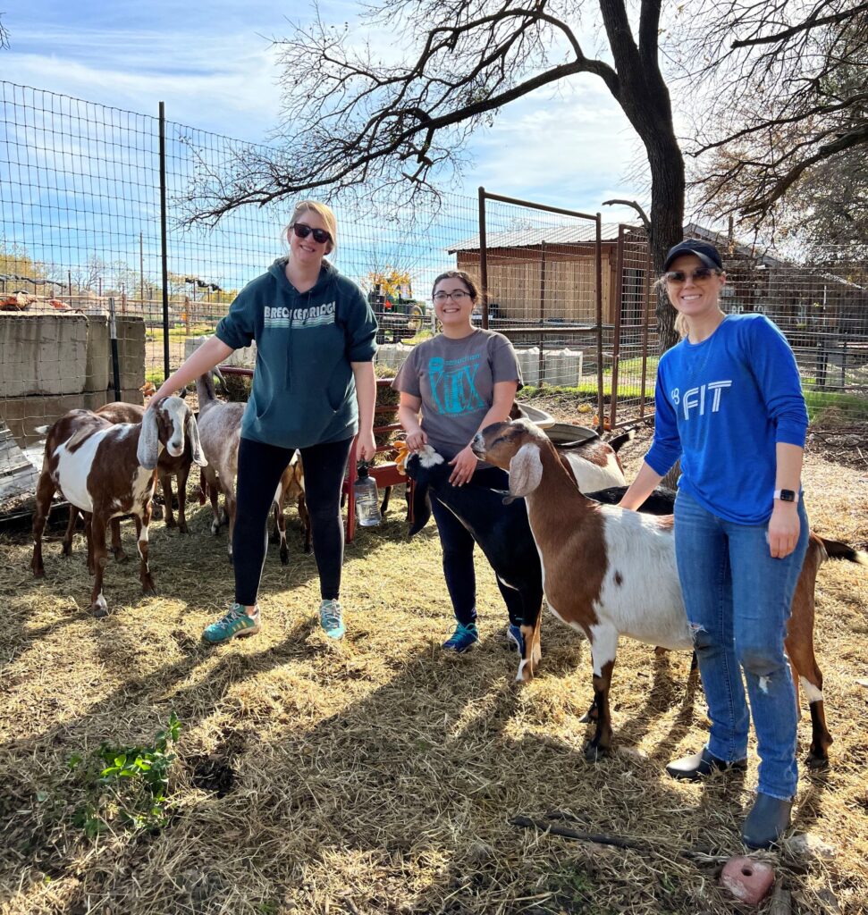 Interior Designers at Bonton Farms