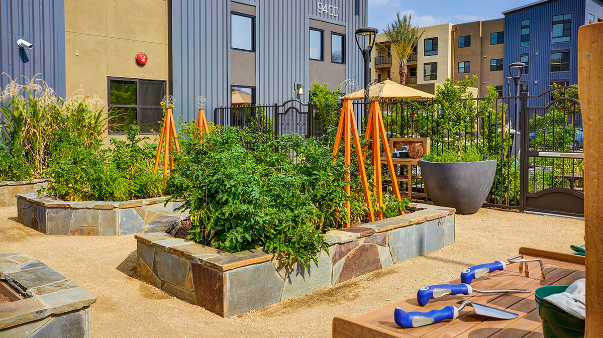 Terrena's stone-capped garden planters with robust greens and garden supports